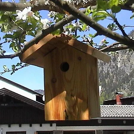 Haus Waldfriede Apartment Pertisau