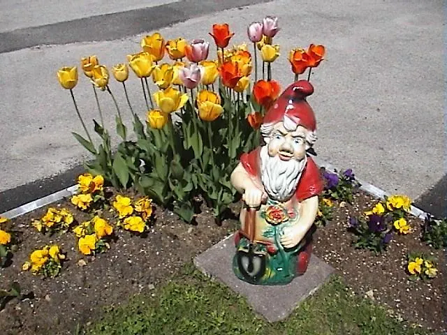 Haus Waldfriede Lägenhet Pertisau